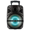 IQ Sound 12" Portable Bluetooth Speaker with True Wireless Technology