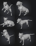 Dogs - Nora - 28mm (SLA001)