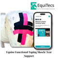 EFT Muscle Tear Support