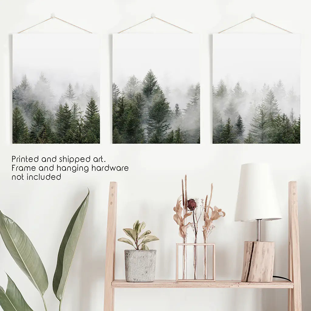 Foggy Pine Forest Set of 3. Serene Evergreen Mountain Decor