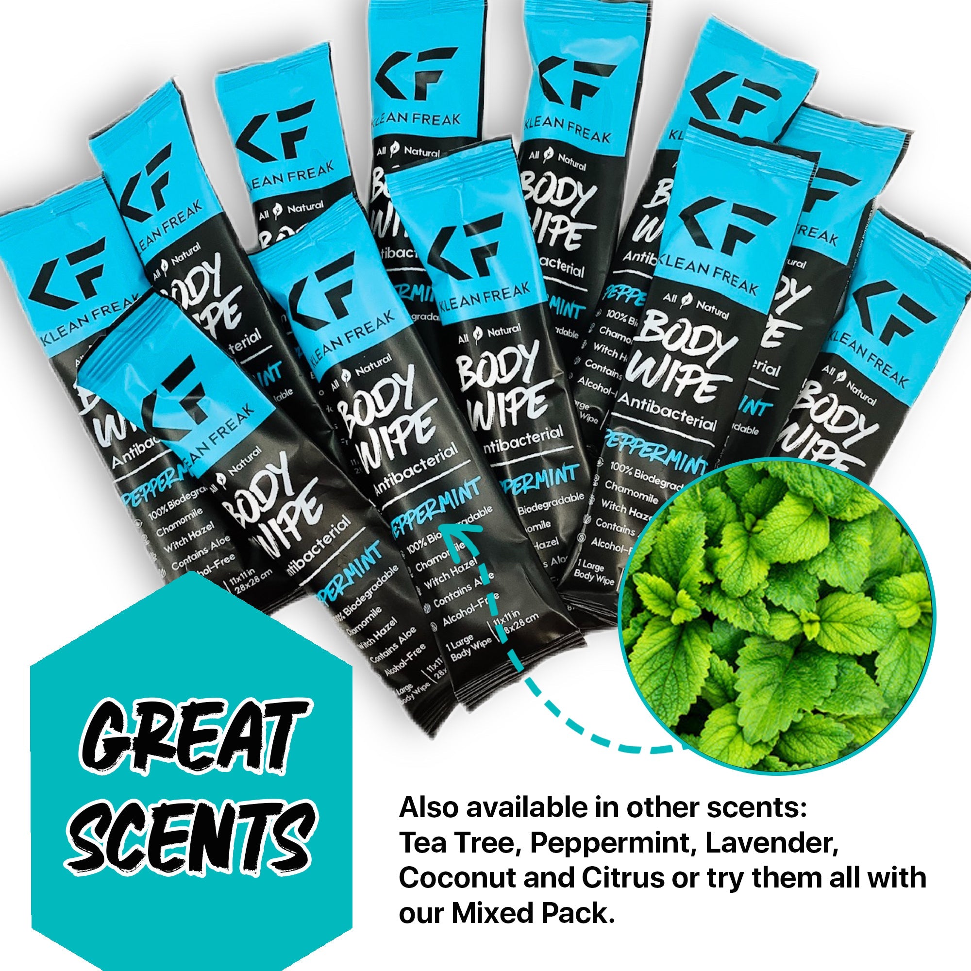 Body Wipes - 12 Pack
