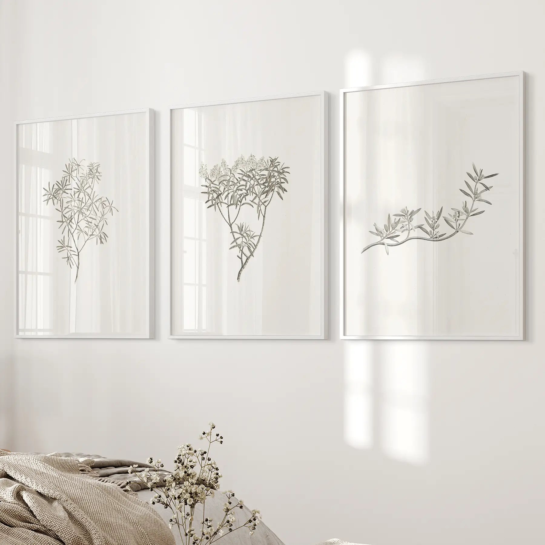 Vintage Neutral Botanical Decor. Set of 3 Prints