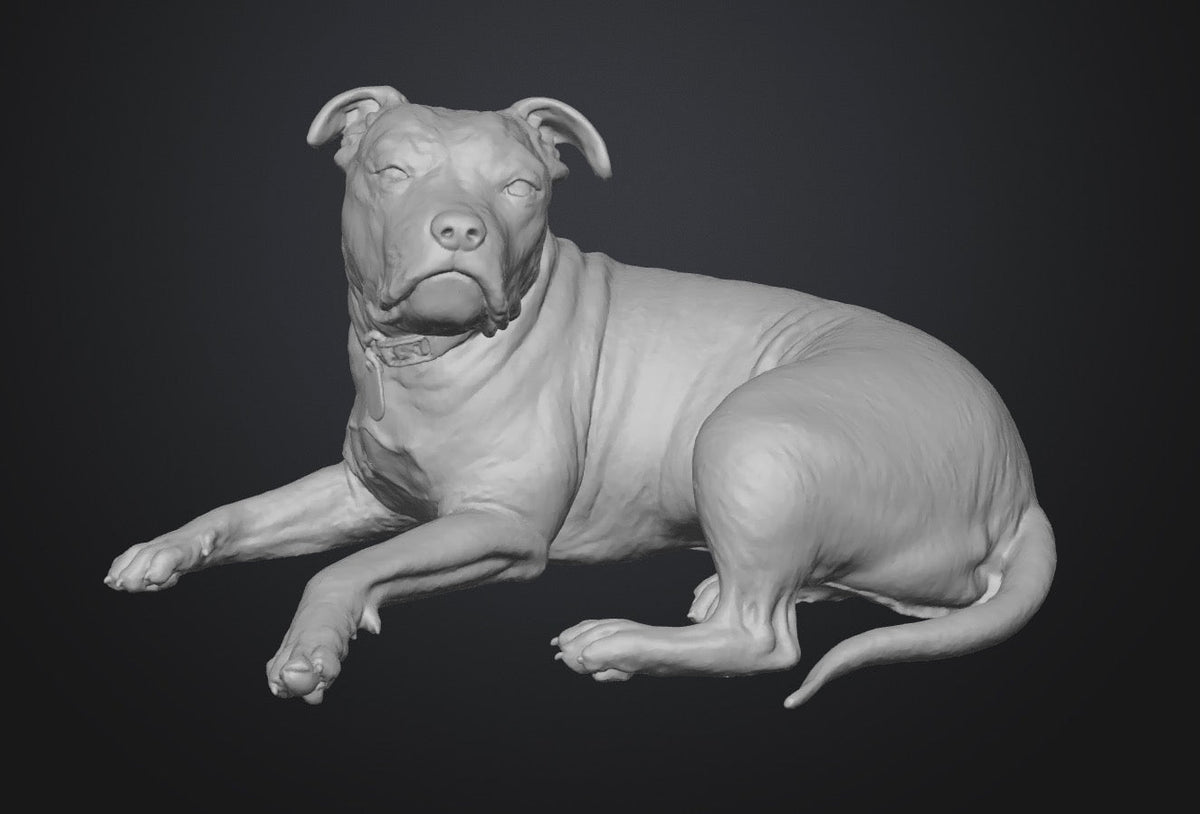 Dogs - Nora - 28mm (SLA001)