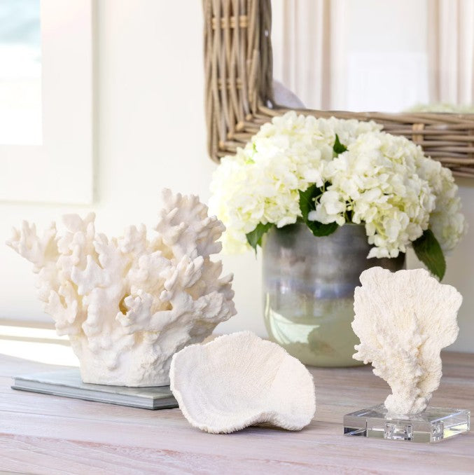 Park Hill |Maldives Faux Coral Accent, Small