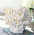 Park Hill |Maldives Faux Coral Accent, Large