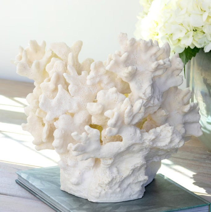 Park Hill |Maldives Faux Coral Accent, Large