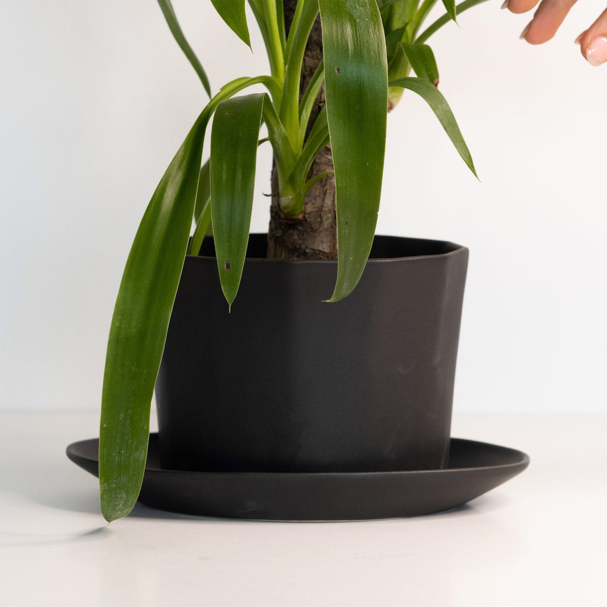 Geometric Oval Handmade Porcelain Planter
