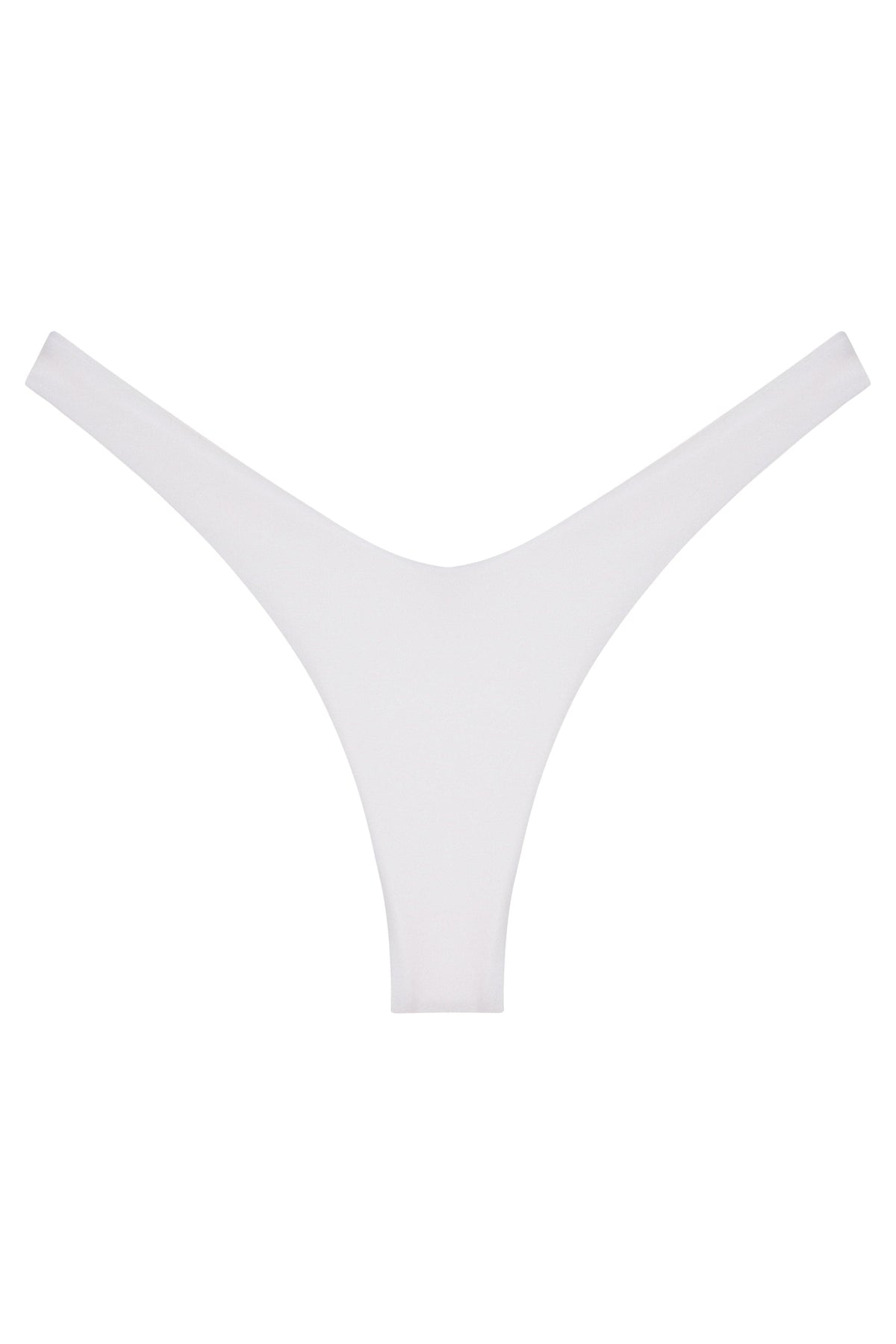 Ludisia Bottom
